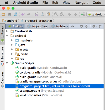 Hybrid Project Android Studio Structure